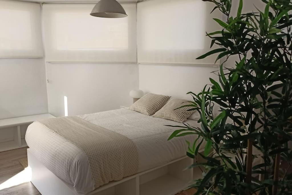 Salitre Malaga Center Apartment Exterior photo